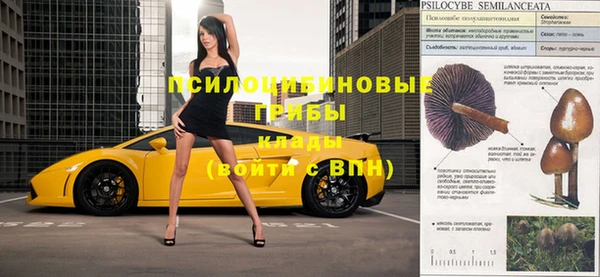 бошки Бугульма