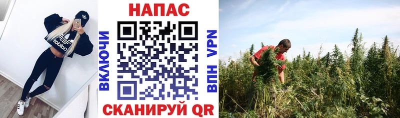Канабис Bruce Banner  наркотики  Афипский 